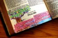 Lectura de la Biblia